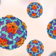 A medical illustration of the hepatitis A virus